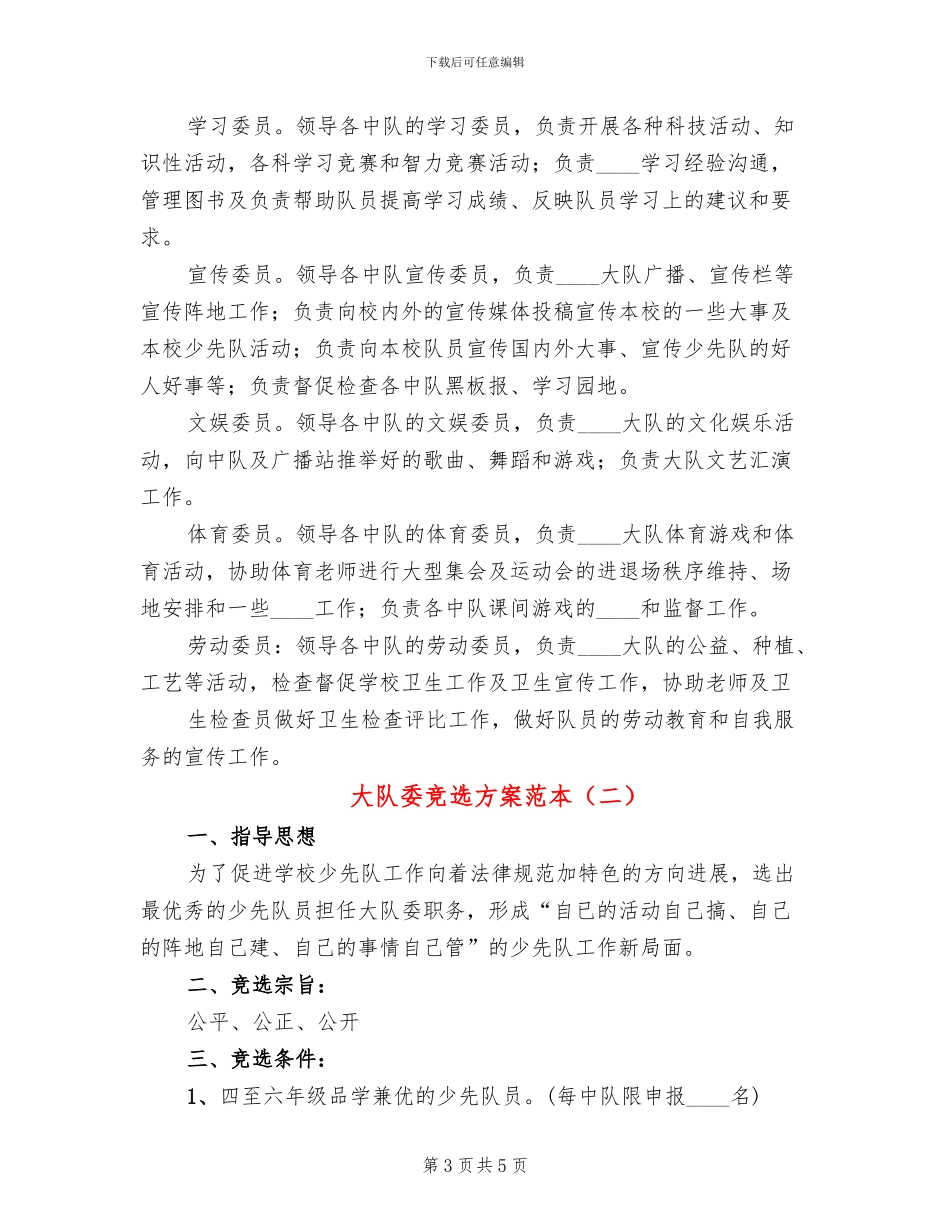 大队委竞选方案范本(2篇)_第3页