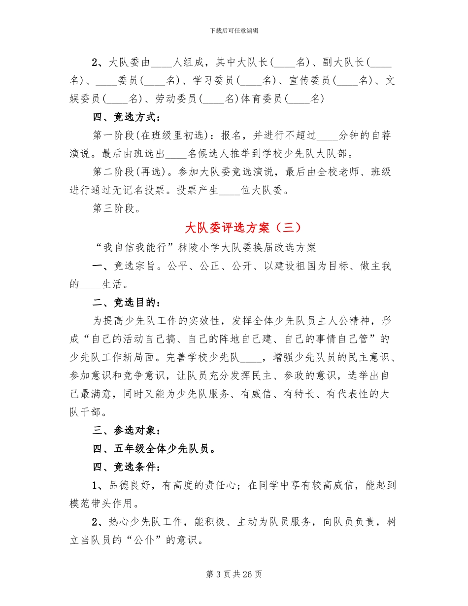 大队委评选方案(11篇)_第3页