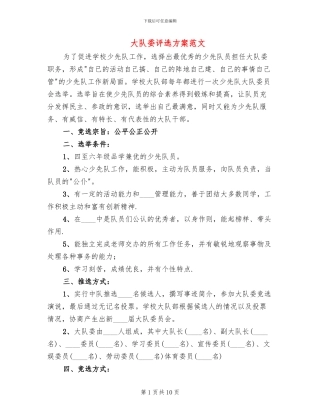 大队委评选方案范文(5篇)