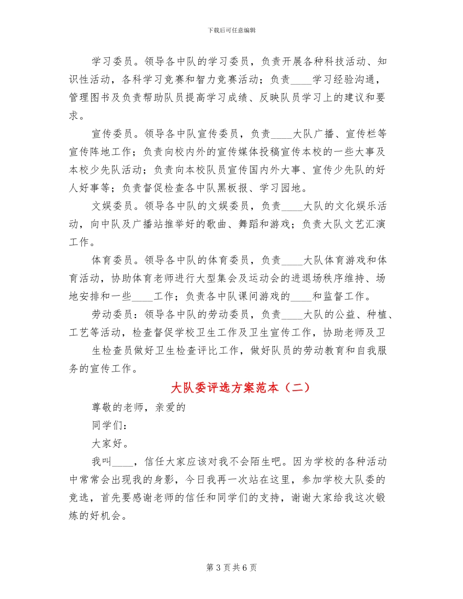 大队委评选方案范本(3篇)_第3页