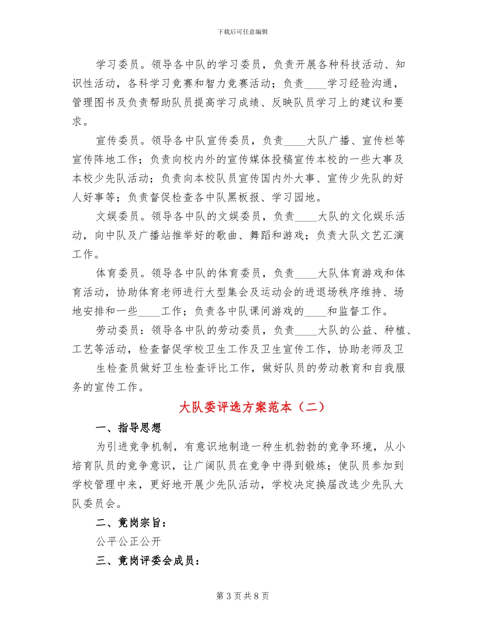 大队委评选方案范本_第3页