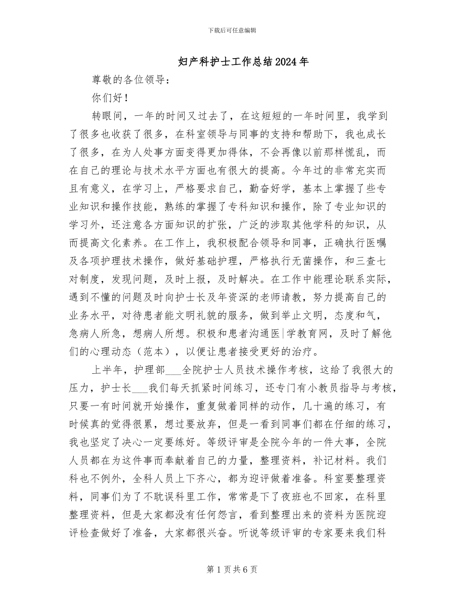 妇产科护士工作总结2024年_第1页
