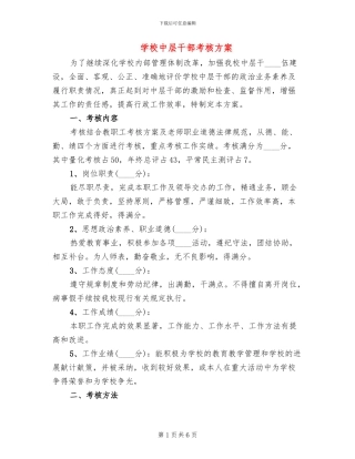 学校中层干部考核方案
