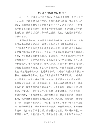 安全月工作总结2024年12月