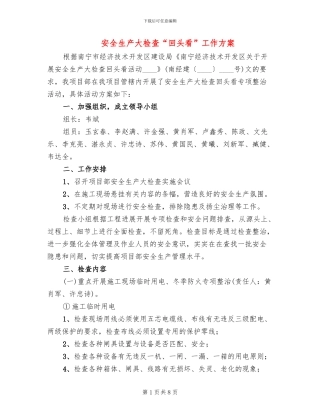 安全生产大检查“回头看”工作方案