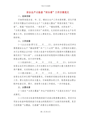 安全生产大检查“回头看”工作方案范文