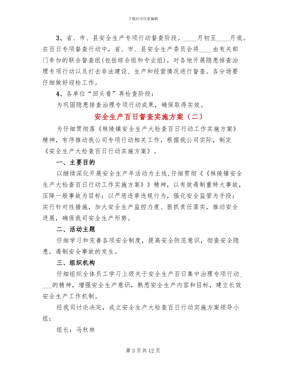 安全生产百日督查实施方案_第3页
