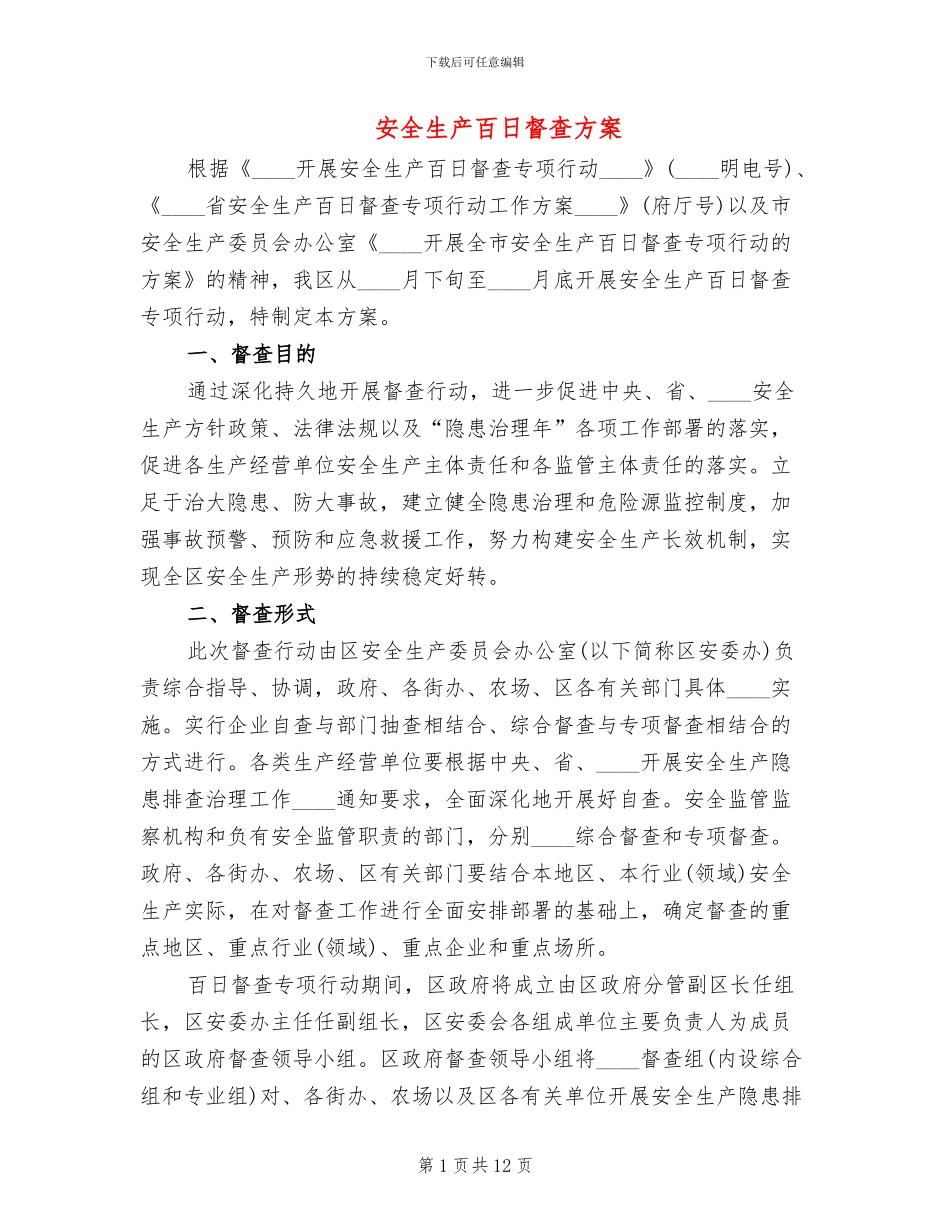 安全生产百日督查方案_第1页
