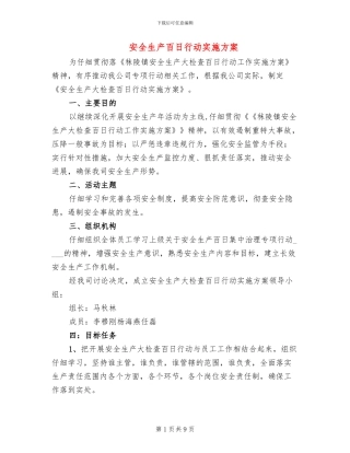 安全生产百日行动实施方案