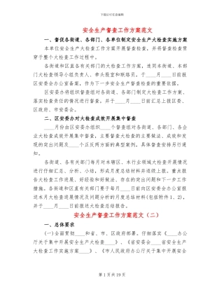 安全生产督查工作方案范文