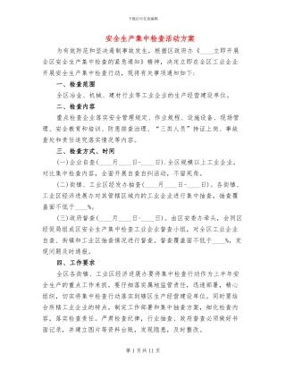 安全生产集中检查活动方案