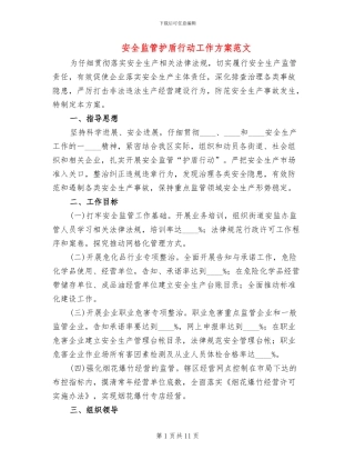 安全监管护盾行动工作方案范文