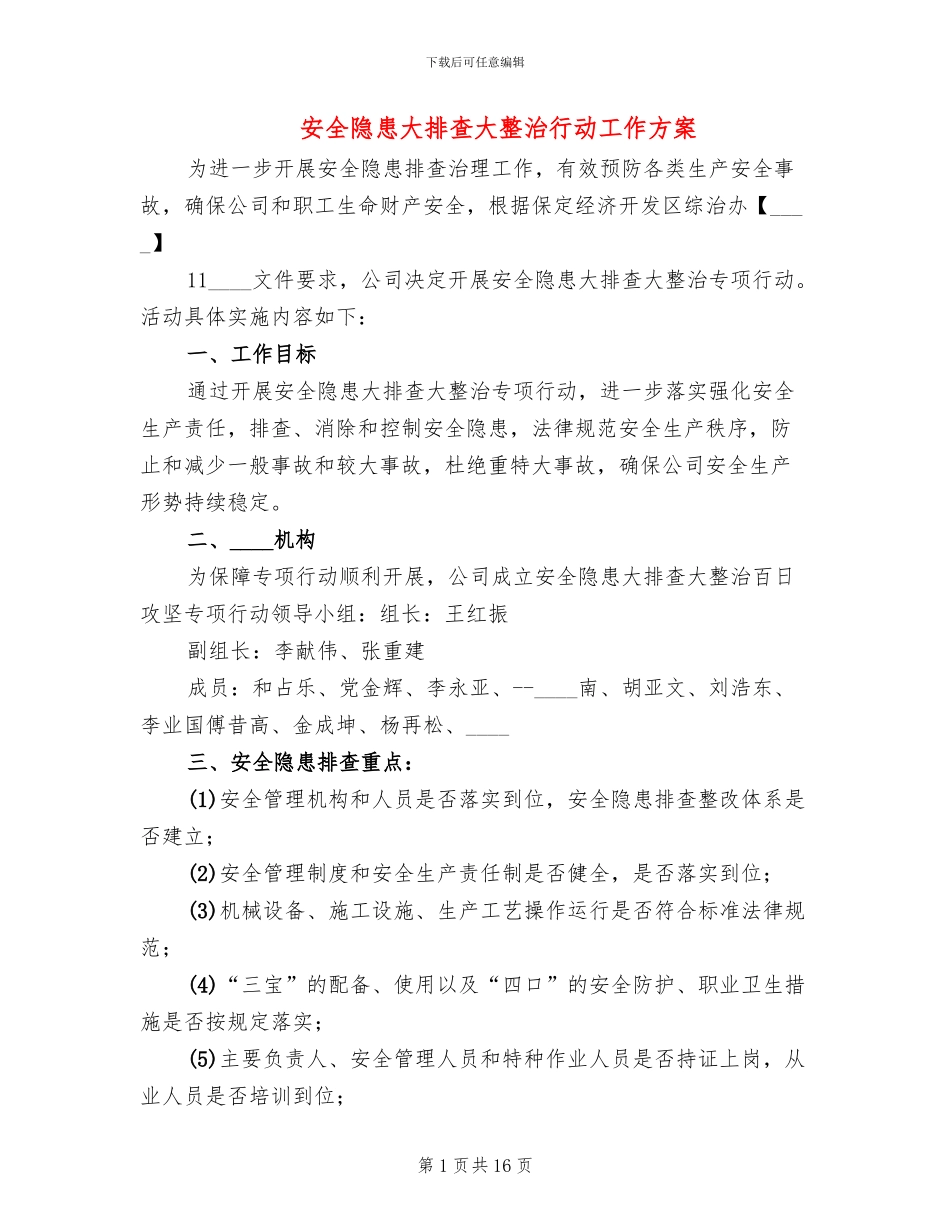 安全隐患大排查大整治行动工作方案_第1页