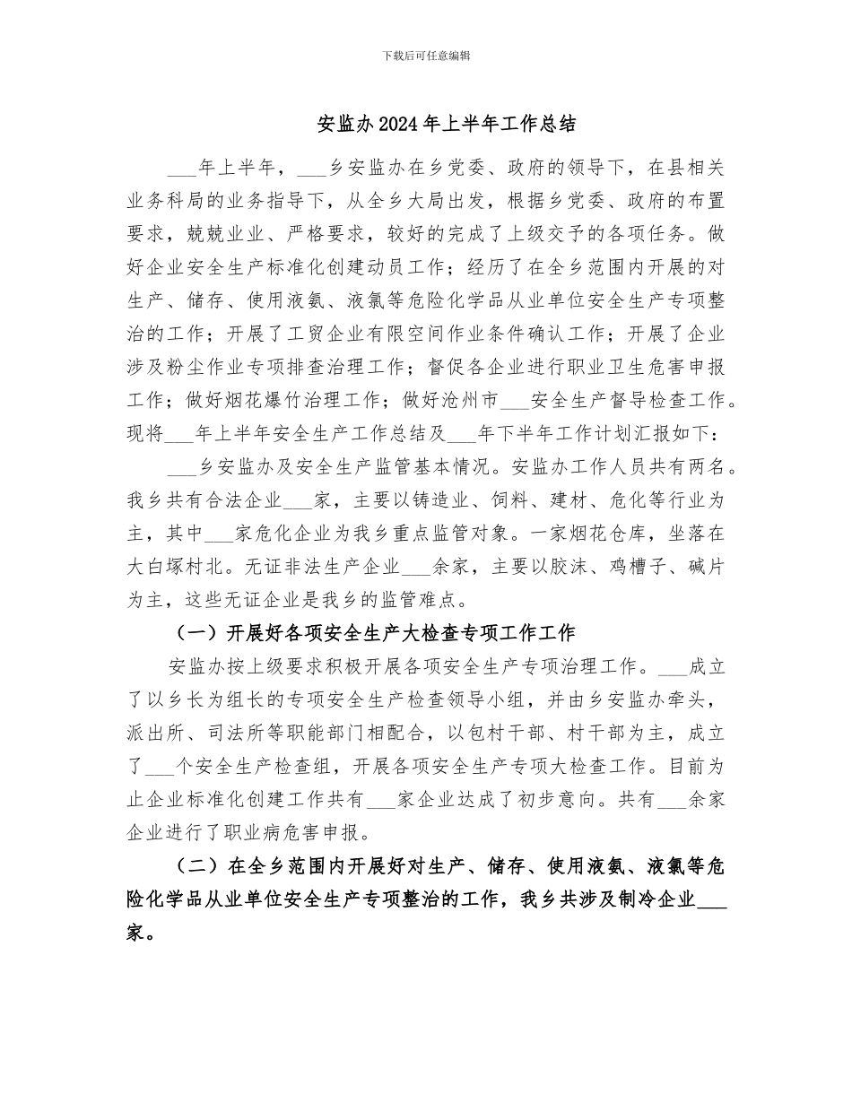 安监办2024年上半年工作总结_第1页