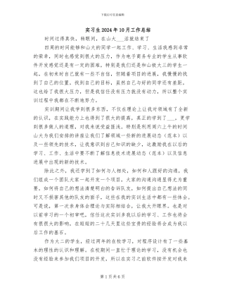 实习生2024年10月工作总结