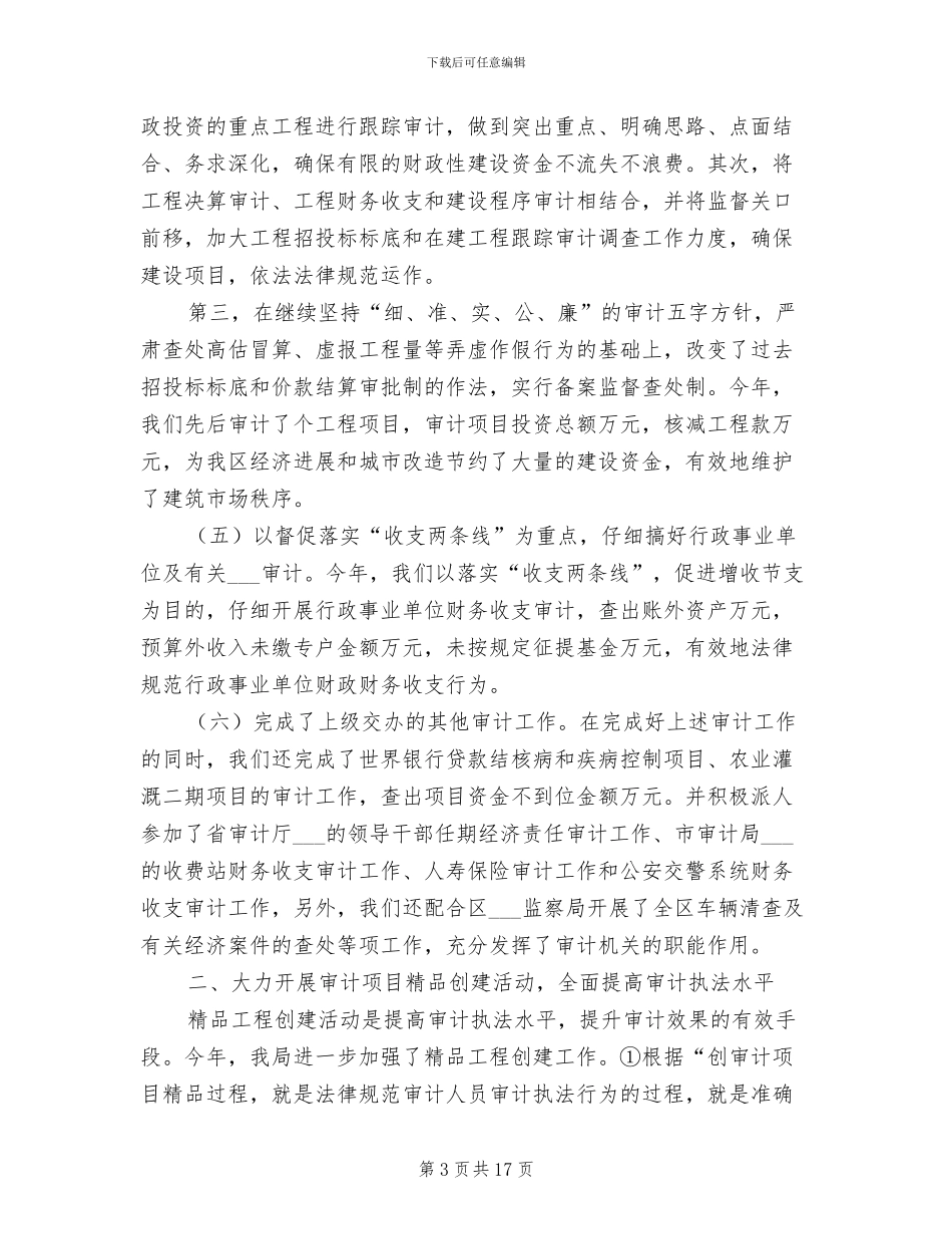 审计厅2024年工作小结_第3页