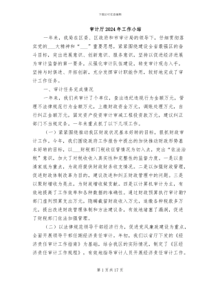 审计厅2024年工作小结