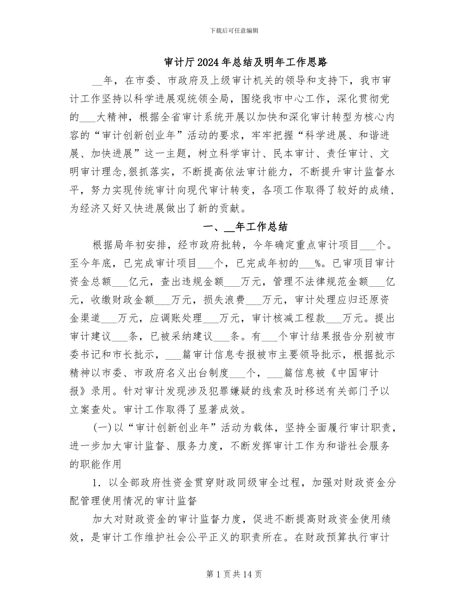 审计厅2024年总结及明年工作思路_第1页