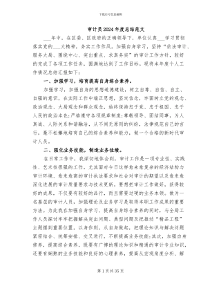 审计员2024年度总结范文