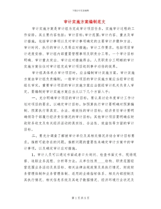 审计实施方案编制范文