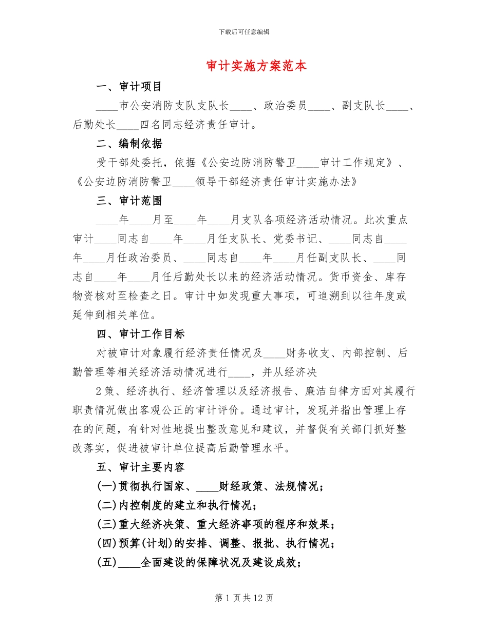 审计实施方案范本_第1页