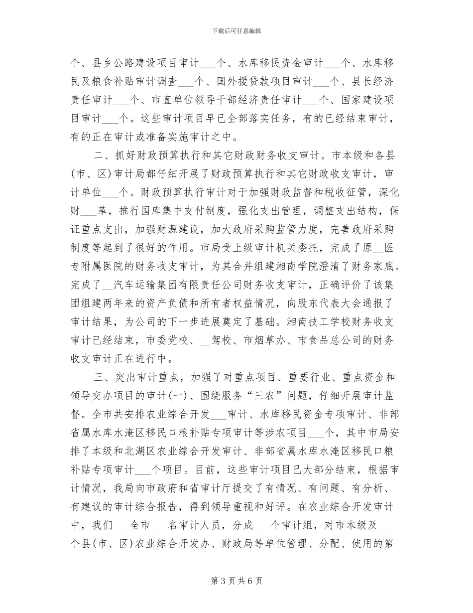 审计统计2024年度工作总结精选_第3页