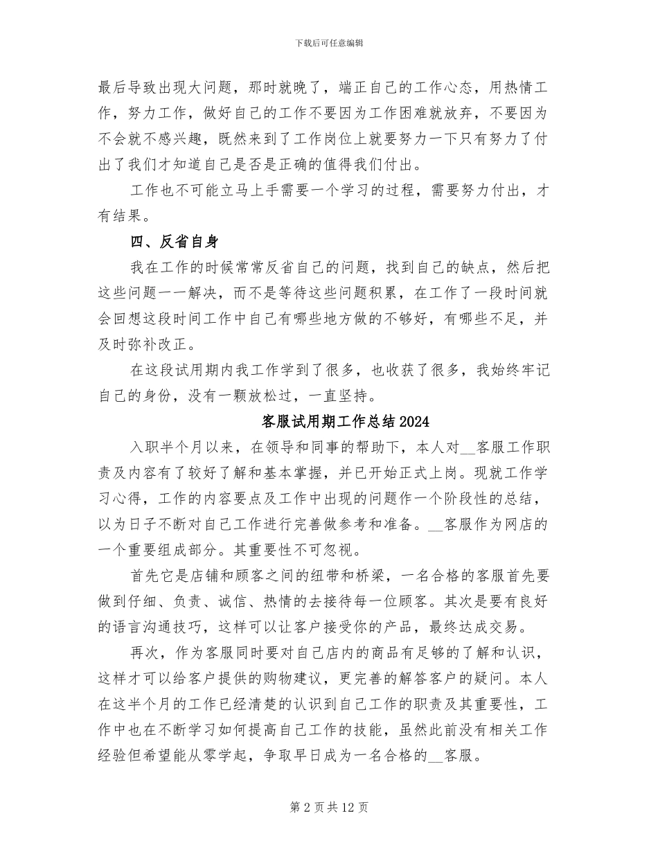 客服试用期个人工作总结2024年_第2页