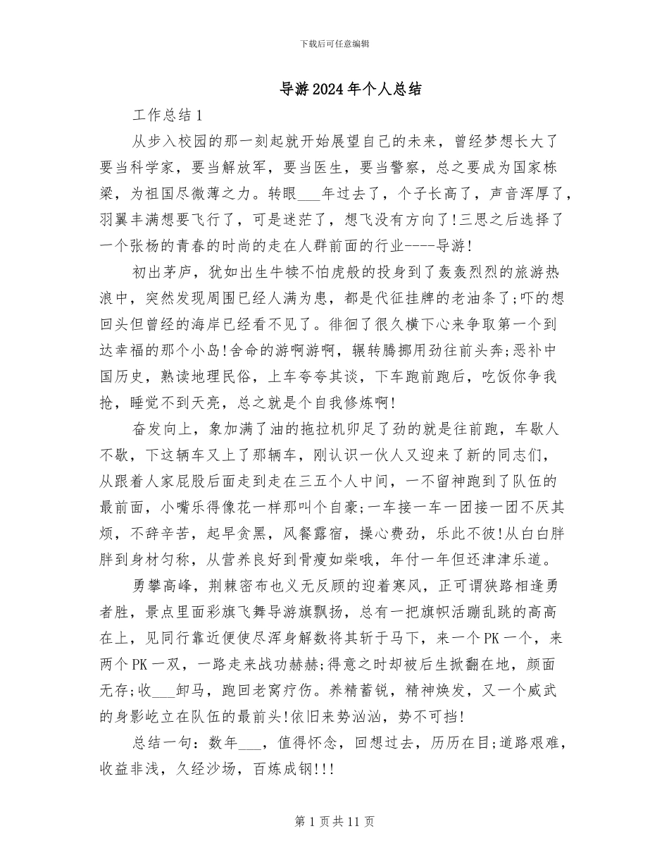 导游2024年个人总结_第1页