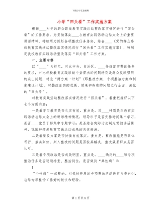 小学“回头看”工作实施方案