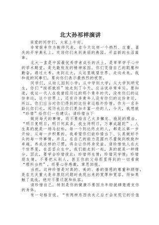 北大孙祁祥演讲