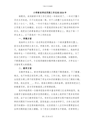 小学新教师试用期工作总结2024年