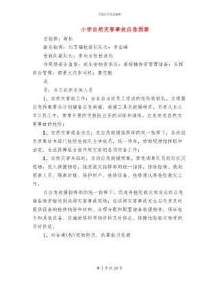 小学自然灾害事故应急预案