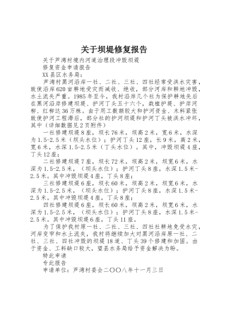 关于坝堤修复报告