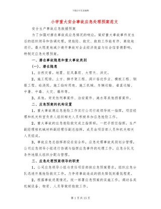 小学重大安全事故应急处理预案范文