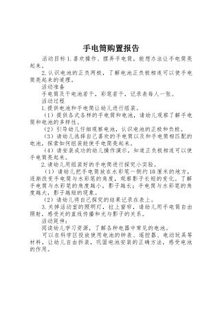 手电筒购置报告