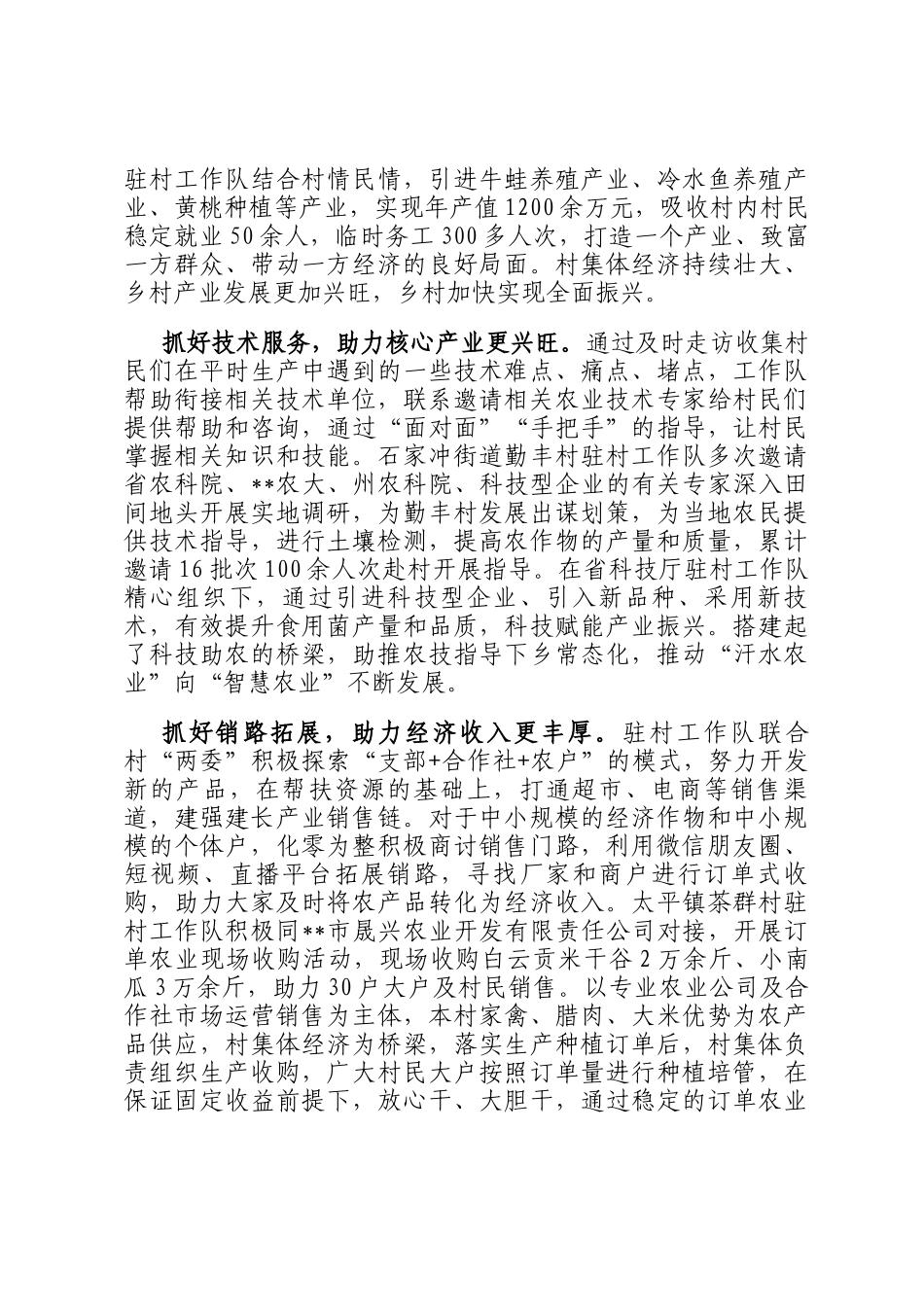 在2024年全市驻村帮扶工作推进会上的交流发言_第2页