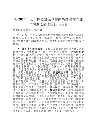 在2024年全市抓党建促乡村振兴暨联村共建行动推进会上的汇报发言