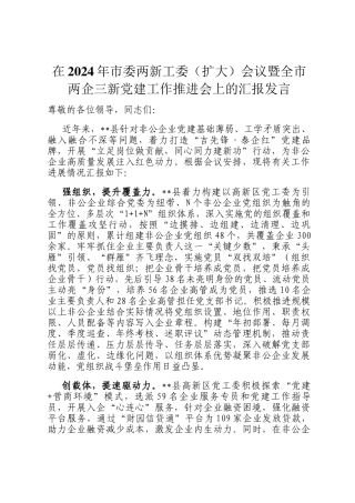 在2024年市委两新工委（扩大）会议暨全市两企三新党建工作推进会上的汇报发言