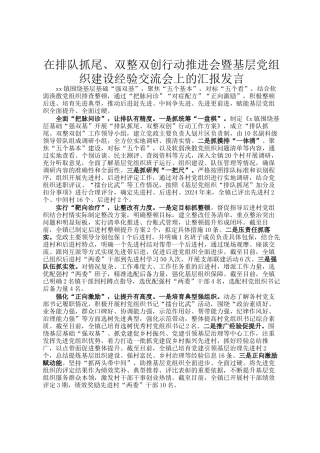 在排队抓尾、双整双创行动推进会暨基层党组织建设经验交流会上的汇报发言