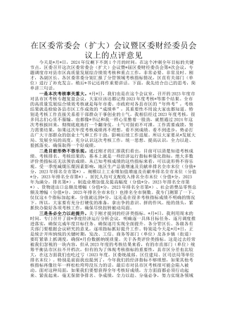 在区委常委会（扩大）会议暨区委财经委员会议上的点评意见
