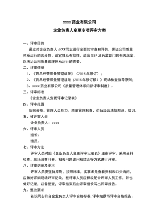 企业负责人内审方案记录报告