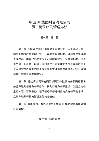DT集团员工岗位序列管理办法
