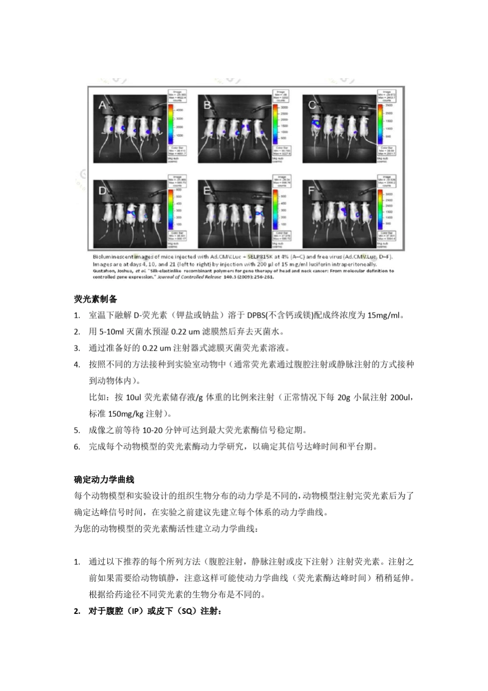 D荧光素活体操作手册_第2页