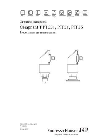 E+Hptp31压力变送器说明书
