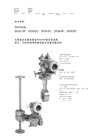 E+H一体式孔板流量计