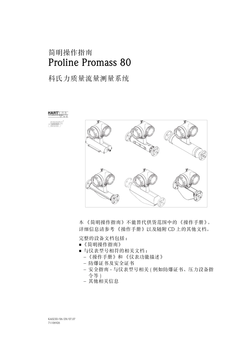 E+H流量计说明书_第1页