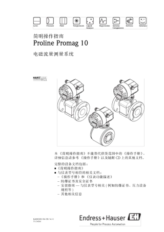 E+H电磁流量计promag10W中文说明书