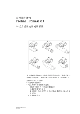 E+H质量流量计说明书