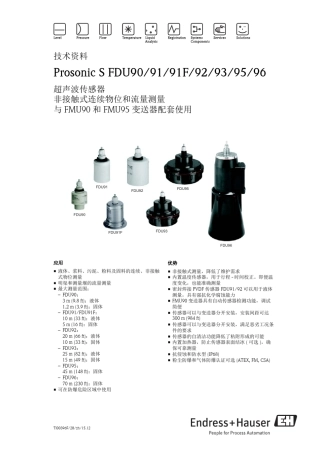 E+H超声波液位计探头FDU90_91_92_93_94_95