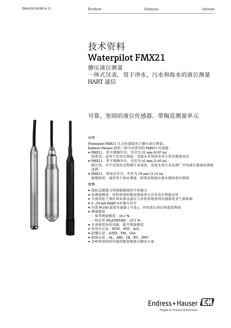 E+H静压式液位计FMX21_第1页